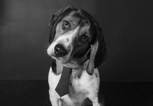 Fundraising Page: Teddy Powers